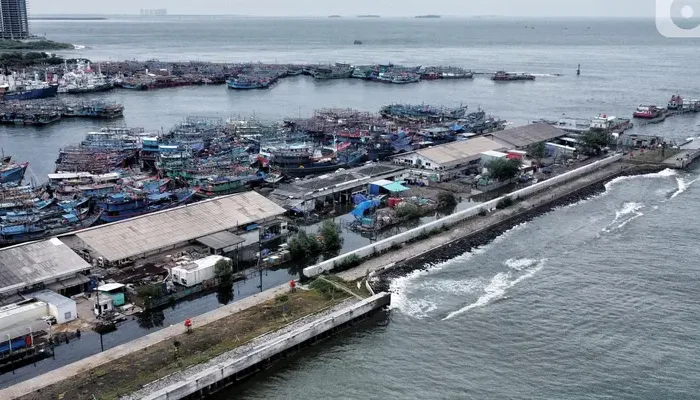 BPBD Catat Penurunan Genangan Banjir Rob di Jakarta Utara