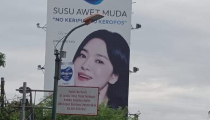Dugaan Kebocoran Pengawasan Izin Reklame, Satpol PP Disorot Lindungi Pelanggaran